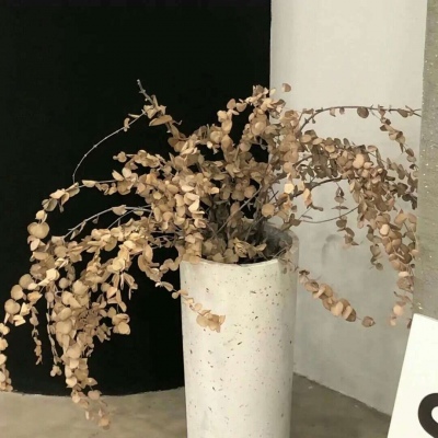 Furry创作素材整理Furry群